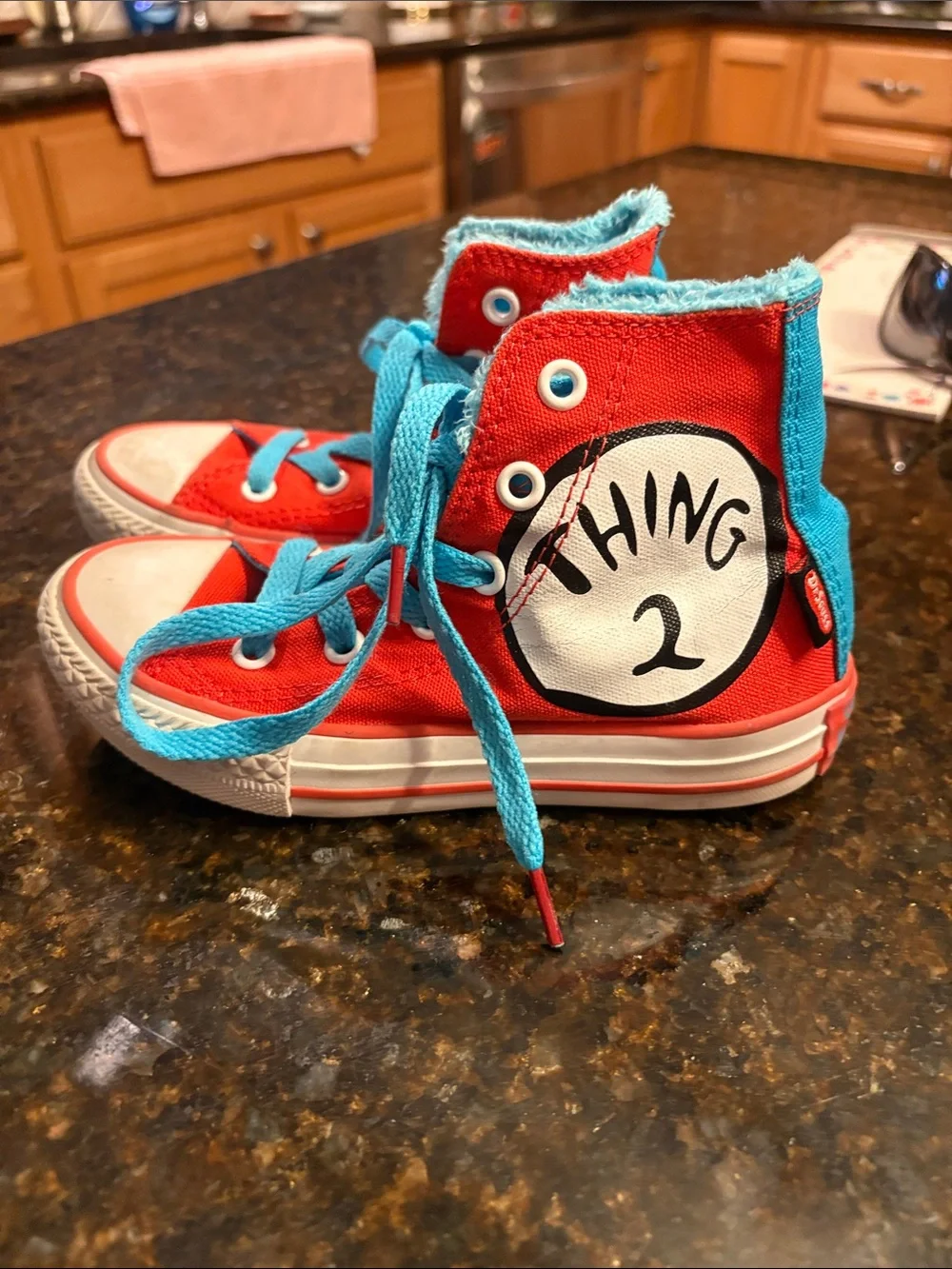 Kids thing 1&2 Converse High Tops